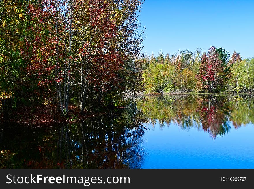 Peaceful fall scene of colorful trees and lake. Peaceful fall scene of colorful trees and lake.