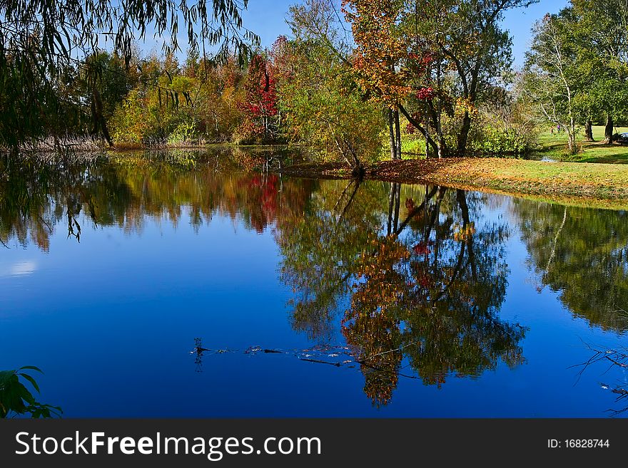 Peaceful fall scene of colorful trees and lake. Peaceful fall scene of colorful trees and lake.