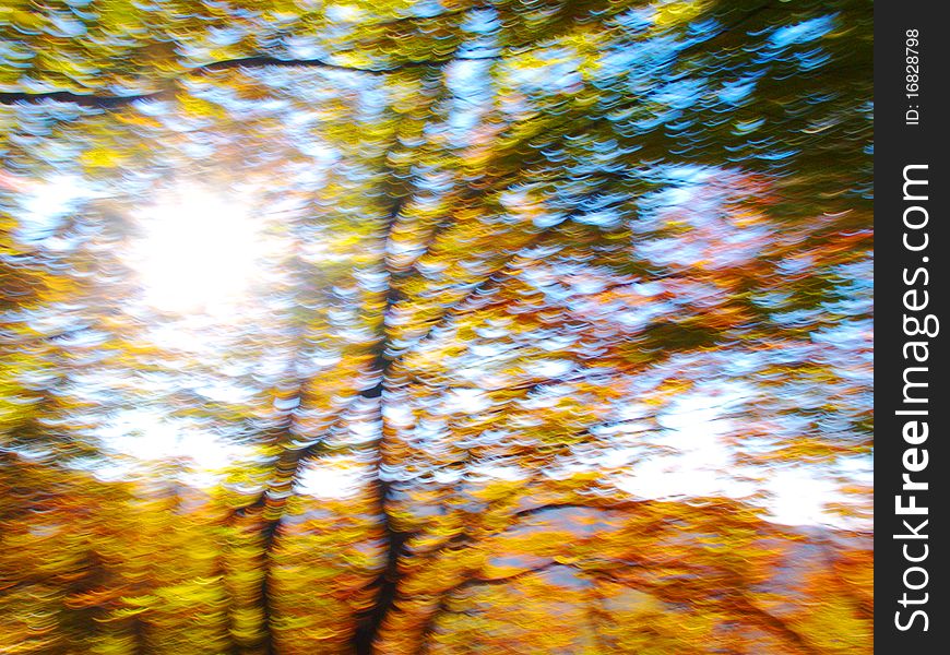 Shinning abstract autumn forest full of yellow and green clours