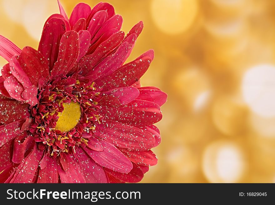 Large fake pink daisy with faded gold light background. Large fake pink daisy with faded gold light background.