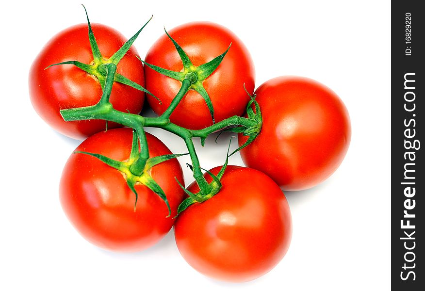 Tomatoes isolated on white background