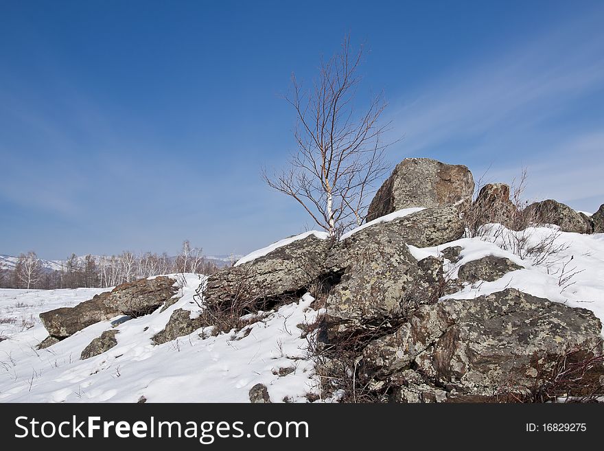 Winter mountain landscape