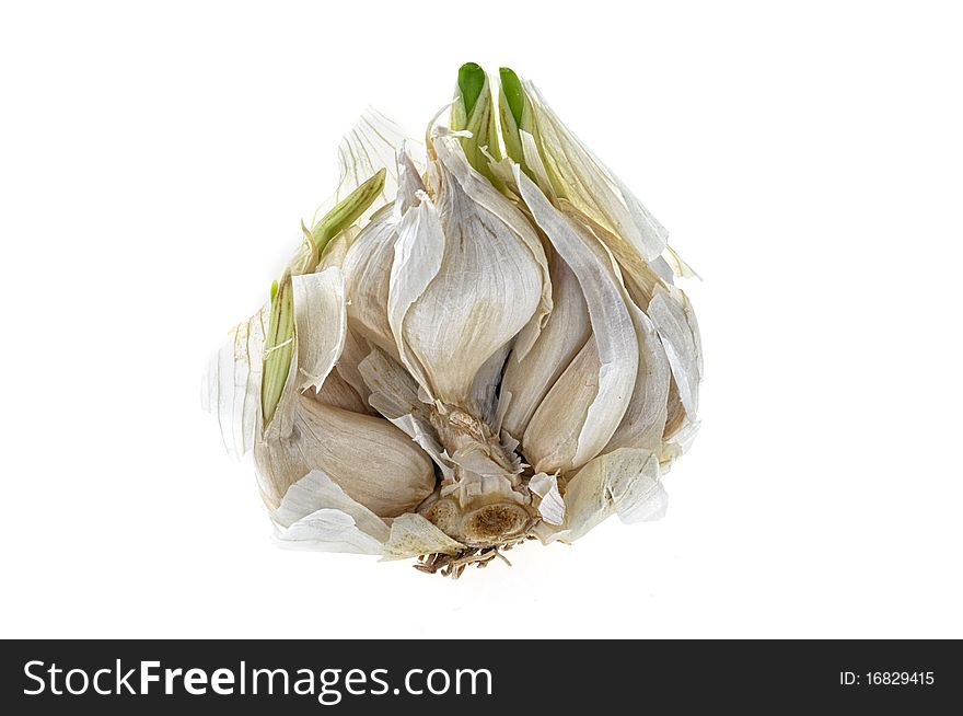 Opened bud of garlic - isolated on white. Opened bud of garlic - isolated on white