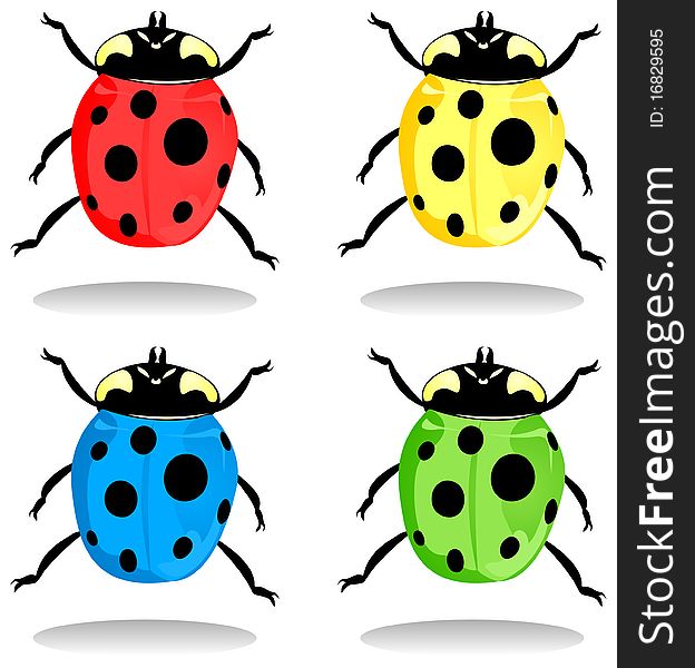 Ladybirds of different colour. A illustration. Ladybirds of different colour. A illustration