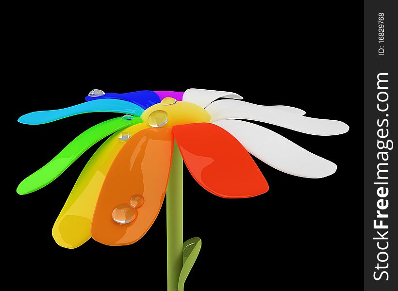 Spectrum chamomile flower