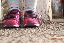 Sneakers On The Feet Of The Child Royalty Free Stock Photos Sneakers On The Feet Of The Child Royalty Free Stock Photos