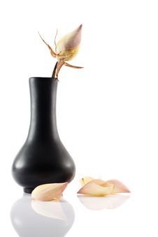 Dry Rose In A Small Ceramic Vase Stock Images