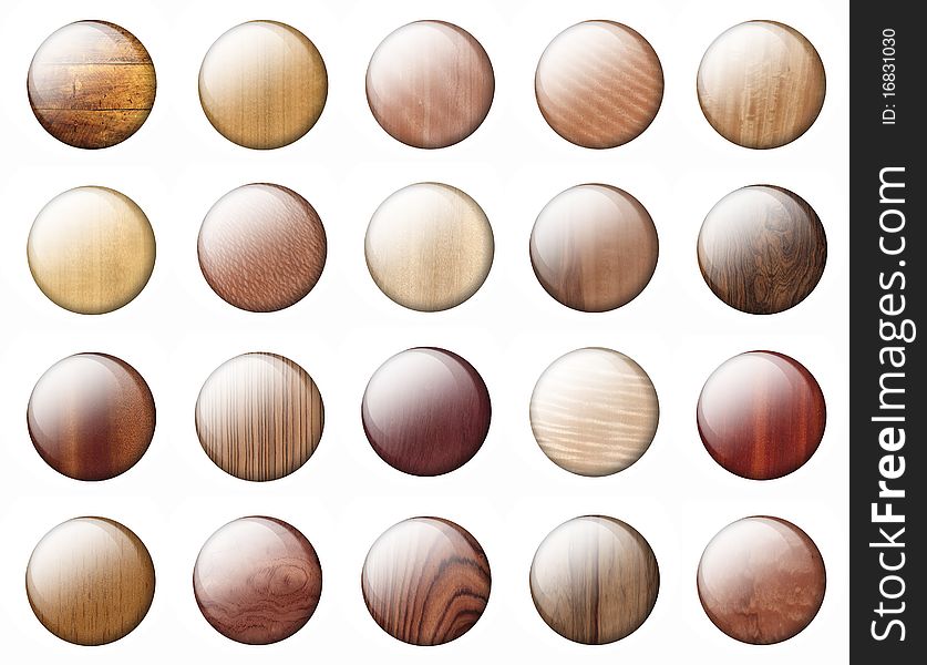 Glossy Wooden buttons From different breeds of trees a white background