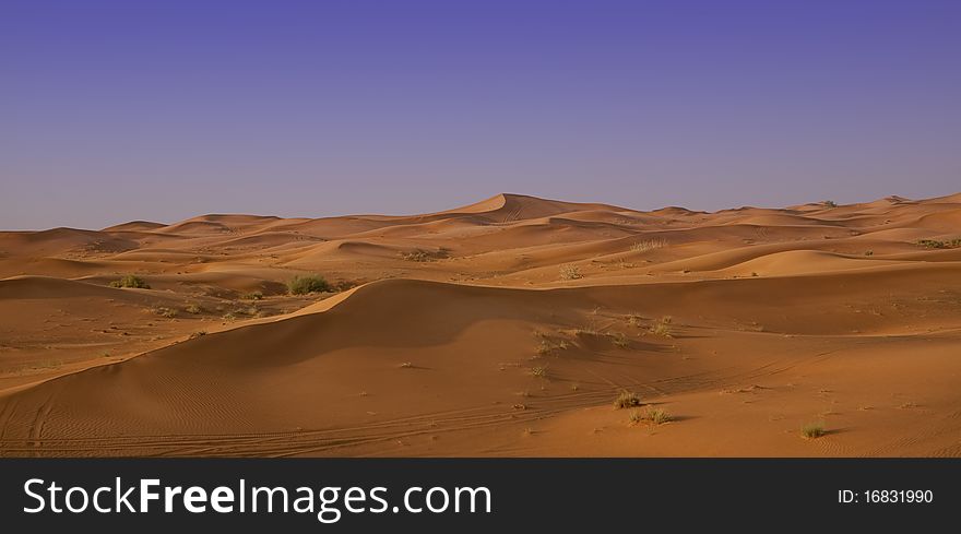 Gold dune in the desert