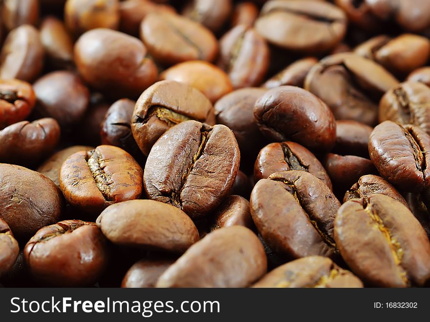 Background with many coffee beans. Background with many coffee beans