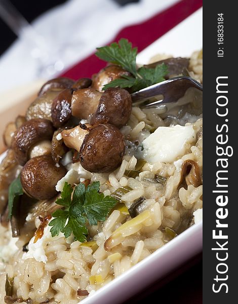 Mushroom risotto with sauteed mushrooms and crumbled cheese. Mushroom risotto with sauteed mushrooms and crumbled cheese.