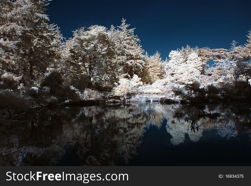 Infrared Pond with Trees