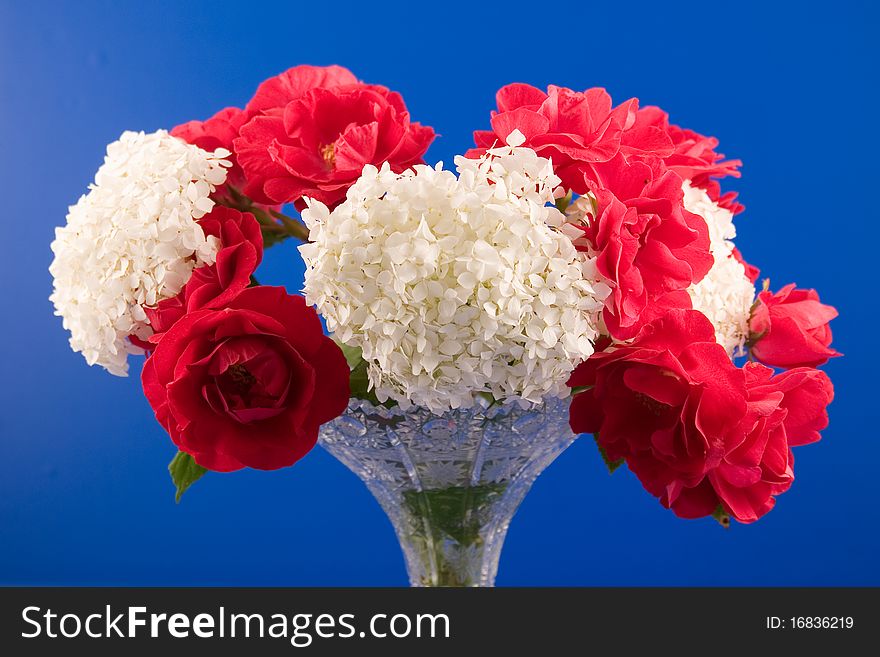 Beautiful bouquet isolated on a blue background