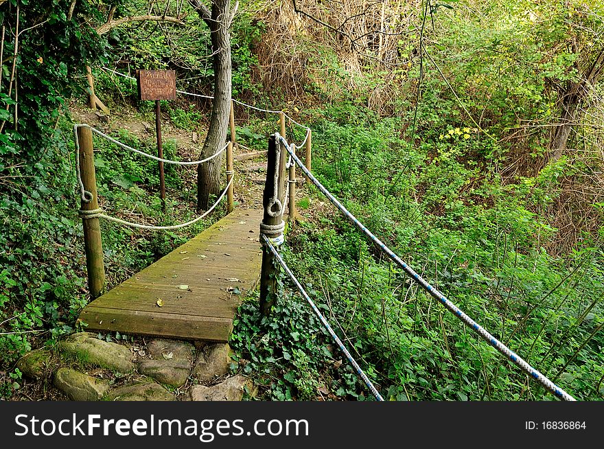 A wooden footbridge on a trail across mountain woods