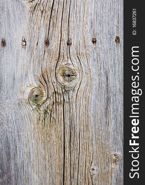A cracked wooden fence with nails. A cracked wooden fence with nails