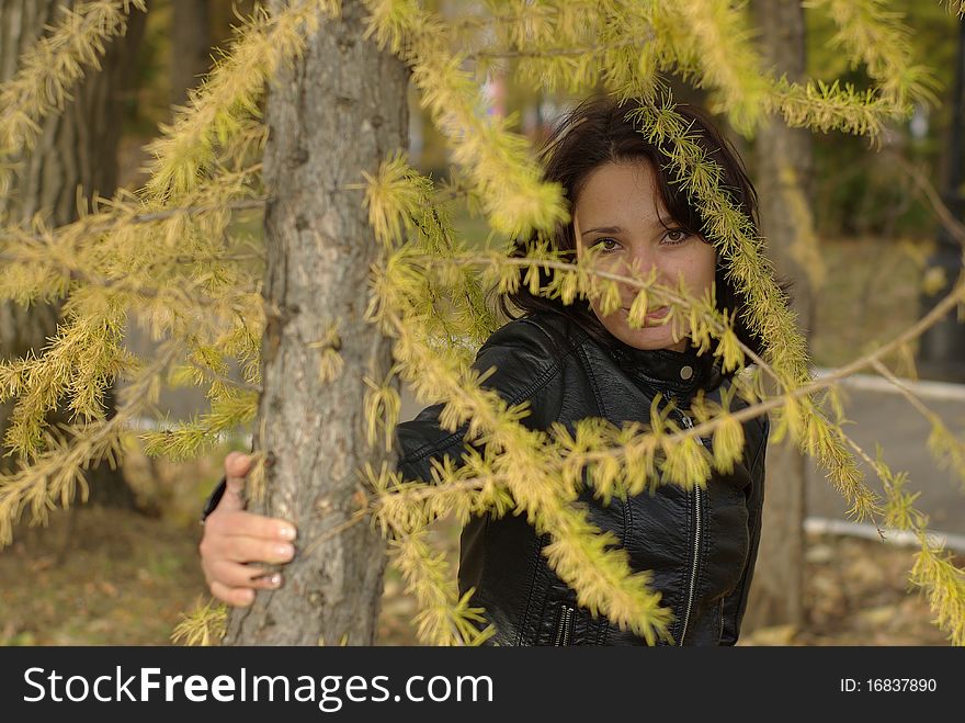 Girl in a coniferous forest leaning against a fir-tree. Girl in a coniferous forest leaning against a fir-tree