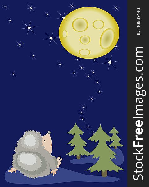 Hedgehog Looks On The Moon.