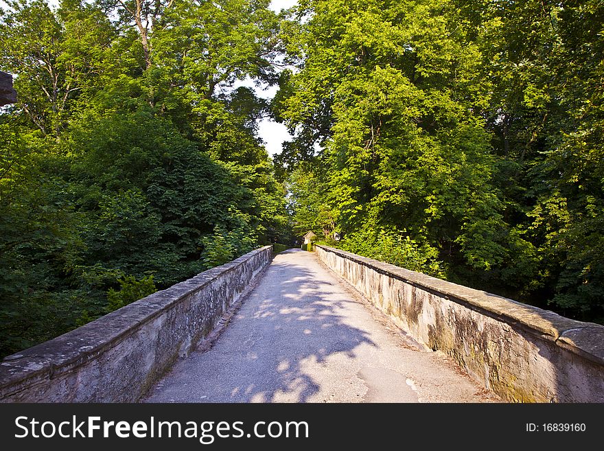 Romantic bridge in Bavaria with forest