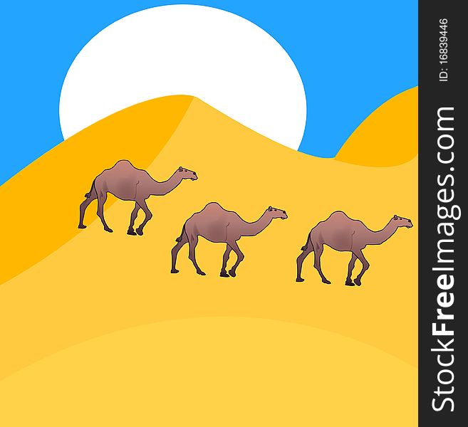 Several camels go on desert amongst sun dune