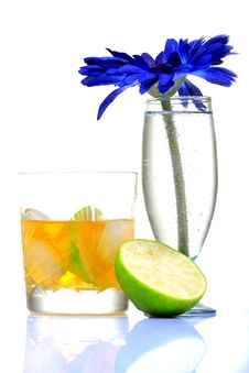 Tropical Whiskey Stock Photography Tropical Whiskey Stock Photography
