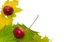 Autumn Still-life Royalty Free Stock Image Autumn Still-life Royalty Free Stock Image