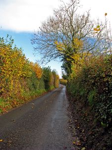 Rural Road Royalty Free Stock Photos Rural Road Royalty Free Stock Photos
