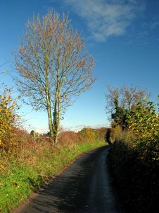Rural Road Stock Image Rural Road Stock Image