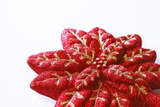Christmas Decoration, Red Poinsettia Stock Photography Christmas Decoration, Red Poinsettia Stock Photography