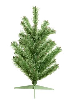 Fir-tree Stock Image Fir-tree Stock Image