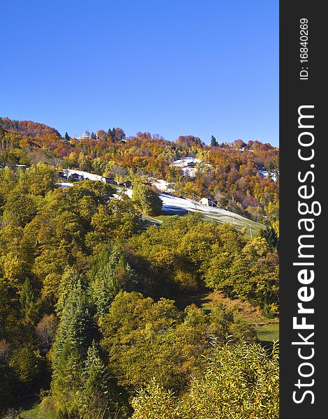 Forest in autumn with the first snow. Forest in autumn with the first snow