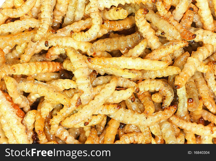 Close up shot of fry bamboo worms it can eat and high protein.