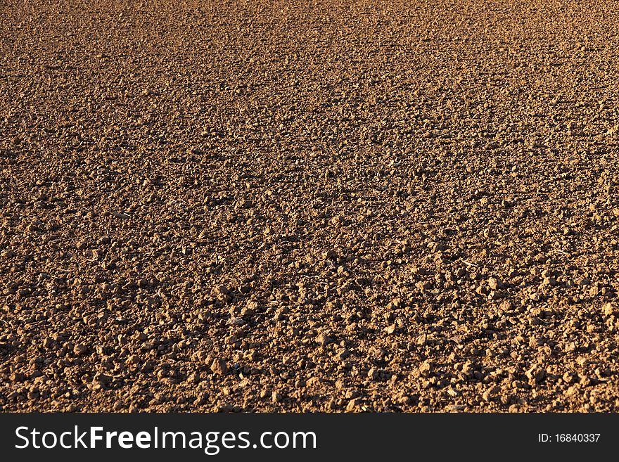 Freshly ploughed acre in beautiful light