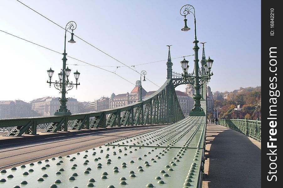 Freedom bridge on danube river in Budapest, Hungary, europe