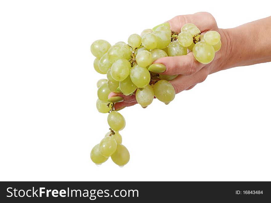 Grape in hand isolated on white. Grape in hand isolated on white.