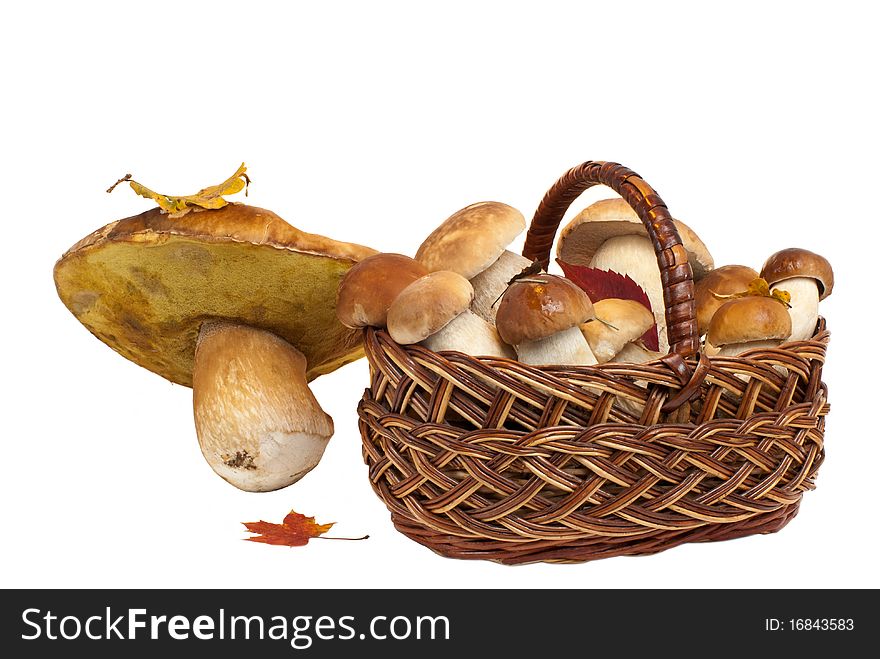 Basket with mushrooms, isolated on white