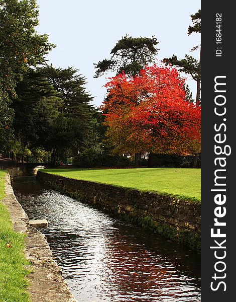 Beautiful bright red autumn tree by the river