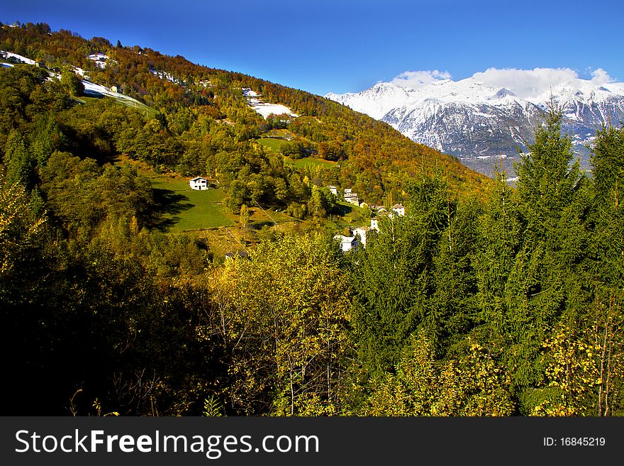 Forest in autumn with the first snow. Forest in autumn with the first snow