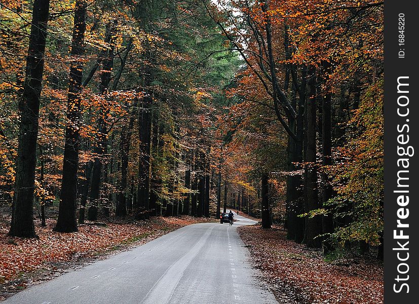Nice country road  with beautiful autumn colors. Nice country road  with beautiful autumn colors