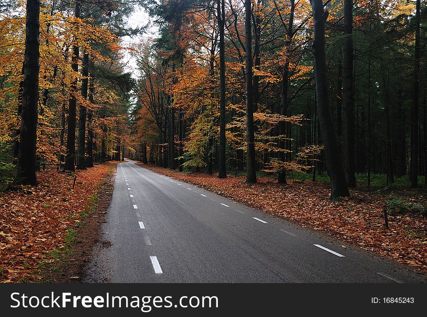 Nice country road with beautiful autumn colors. Nice country road with beautiful autumn colors