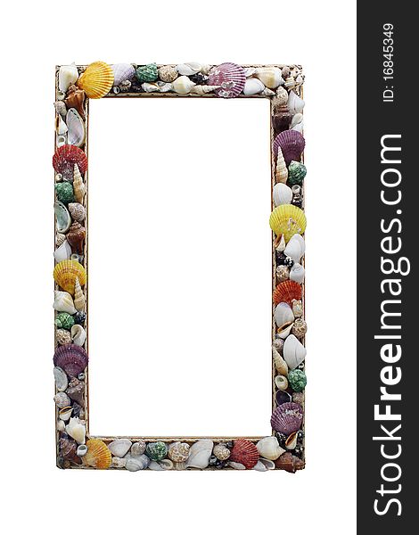 Frame with many different seashells. Place your own object or tekst in the frame