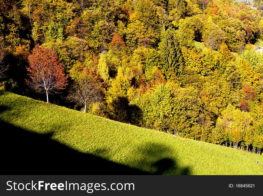 Forest and meadow in the mountains in autumn. Forest and meadow in the mountains in autumn