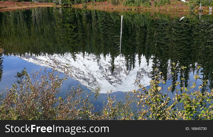 Reflection of Mt. Rainier in alpine lake. Reflection of Mt. Rainier in alpine lake