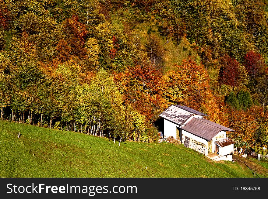 House in the woods in autumn. House in the woods in autumn