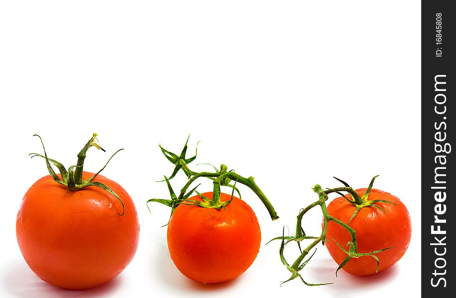 Tomatoes themed collage isolated on white background