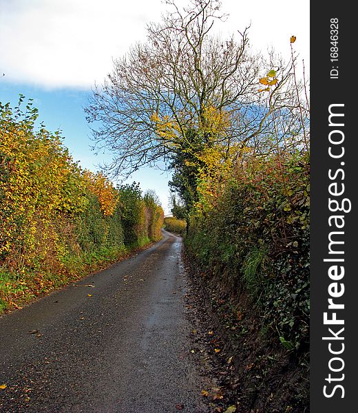 Rural road on a sunny autumn day