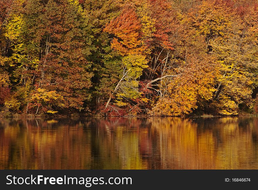 Beautiful colors of Autumn reflecting on a lake. Beautiful colors of Autumn reflecting on a lake.