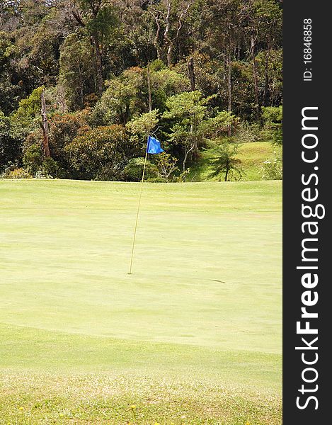 Greenery golf field at the park