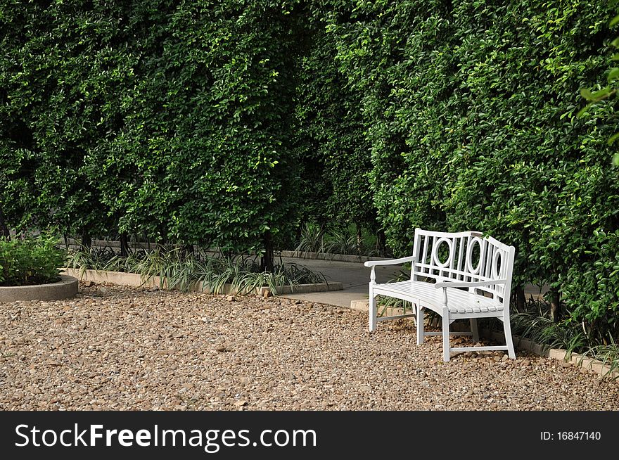 White Bench In The Park