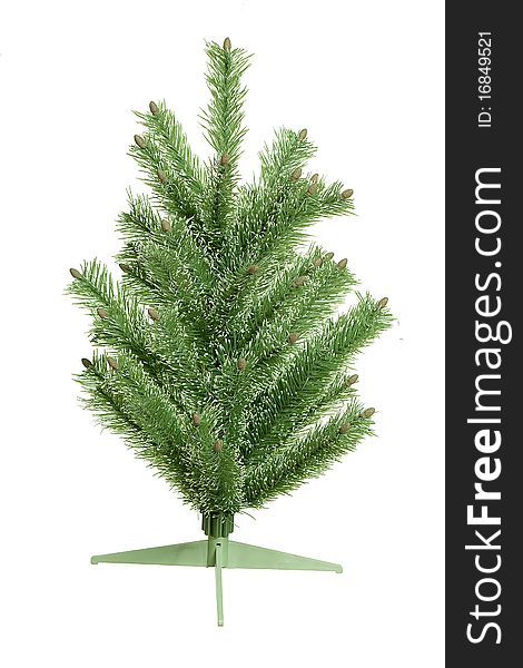 Fir-tree isolated on white tree