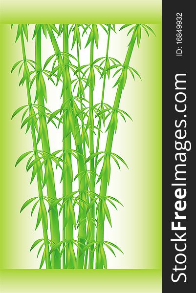 Stalks and bamboo leaves on a green background